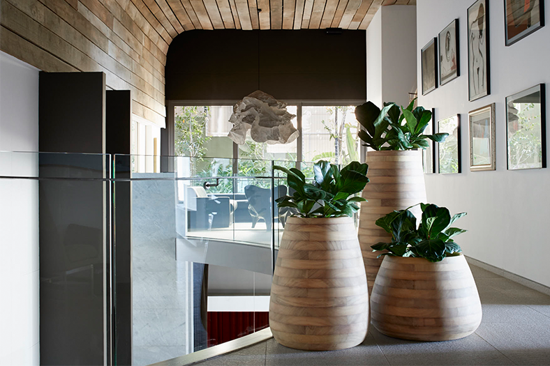 Sources unlimited unveils the Tuber Collection of planters by Indigenus
