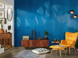 ipiccy_imageAsianPaints