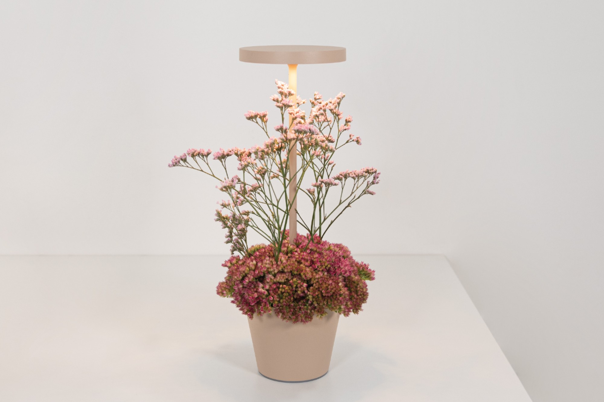 IDS unveils innovative light collection
