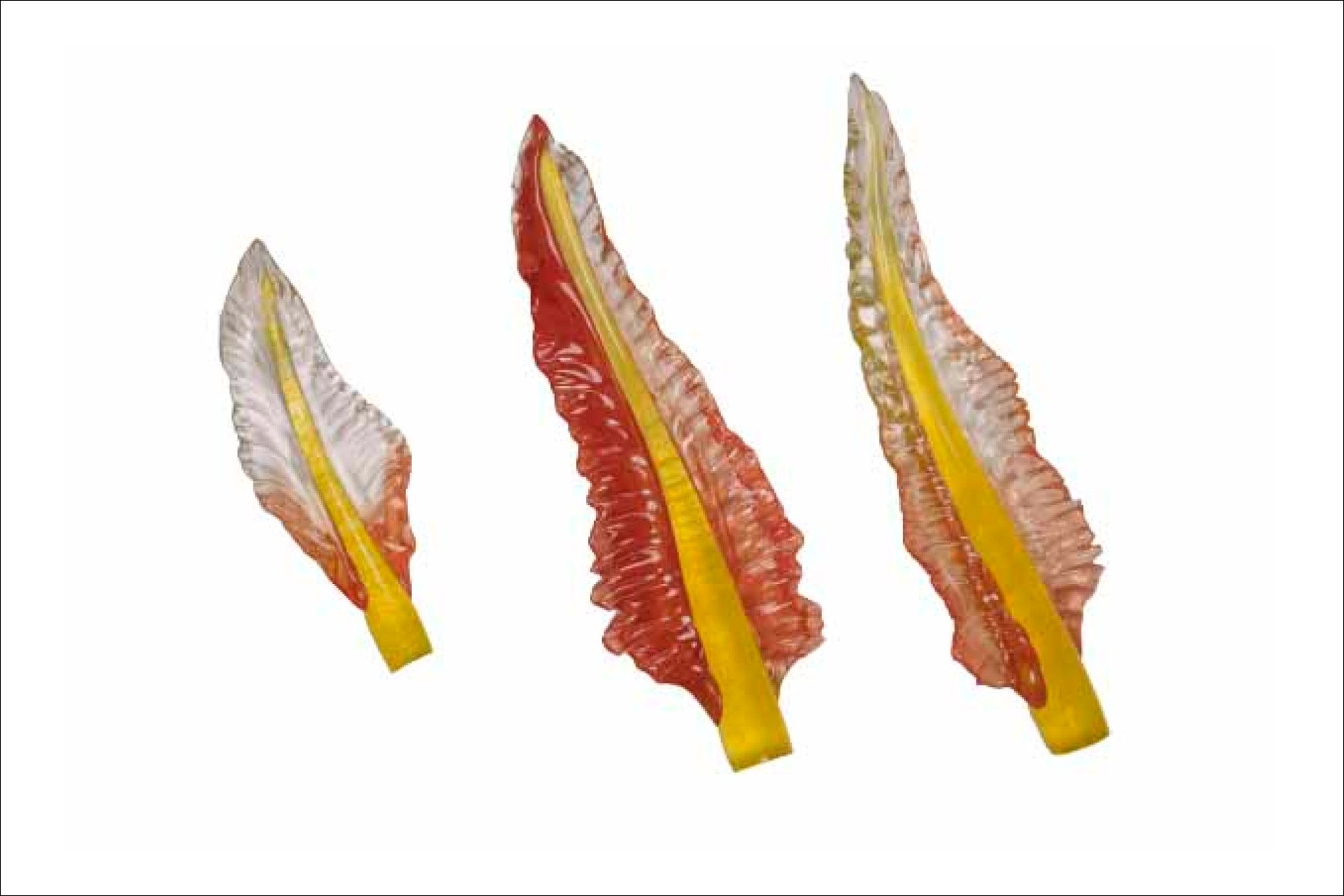 Arjun Rathi glass design _ Design Sense