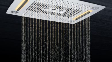 Wisdom Smart Shower