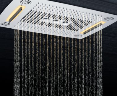 Wisdom Smart Shower