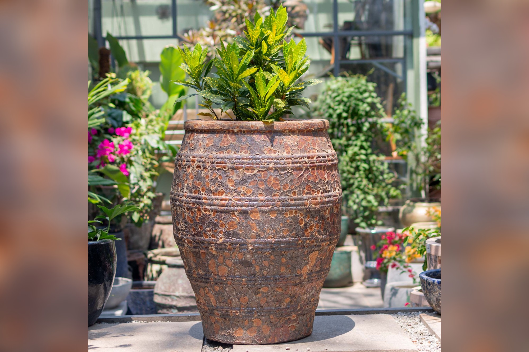 Embrace the monsoon vibe with Beruru’s latest ceramic pot collection