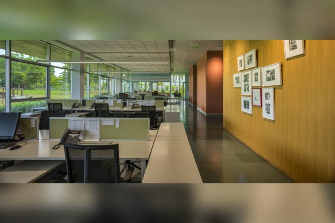 JSW Vasind_ACEDesignSense